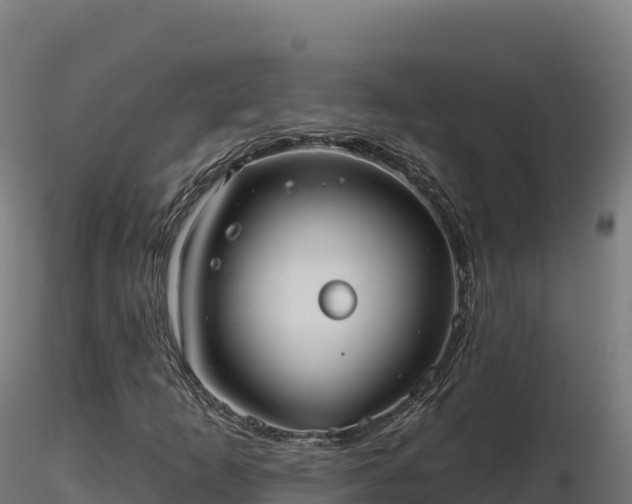 X0000116891253200912291256
