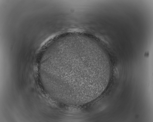 X0000116891254200912291256