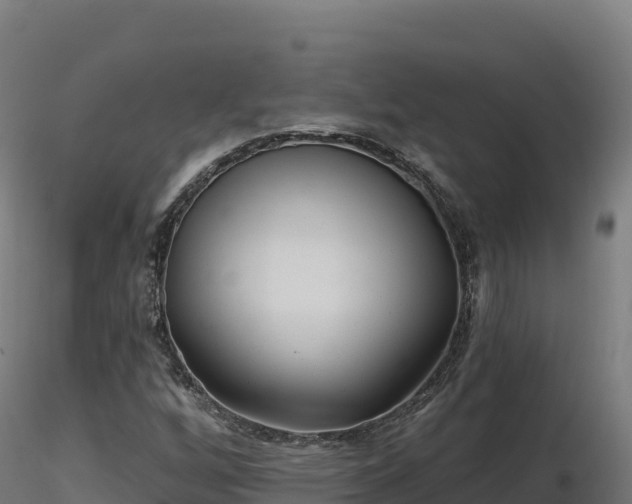 X0000116891256200912291256
