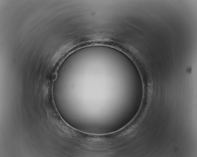 X0000116891257200912291256