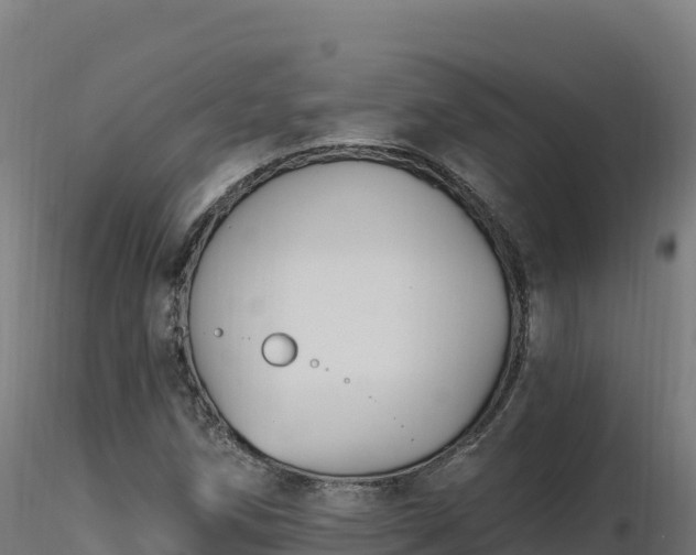 X0000116891258200912291256