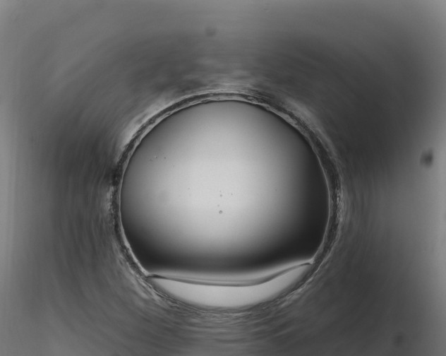 X0000116891260200912291256