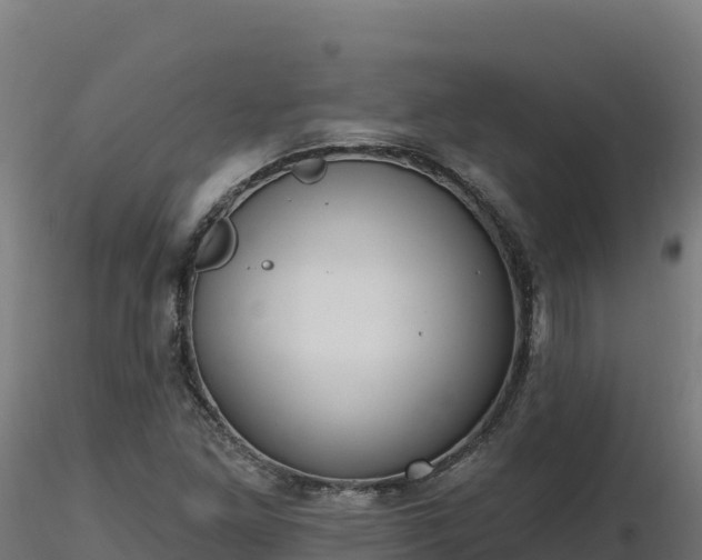 X0000116891261200912291256