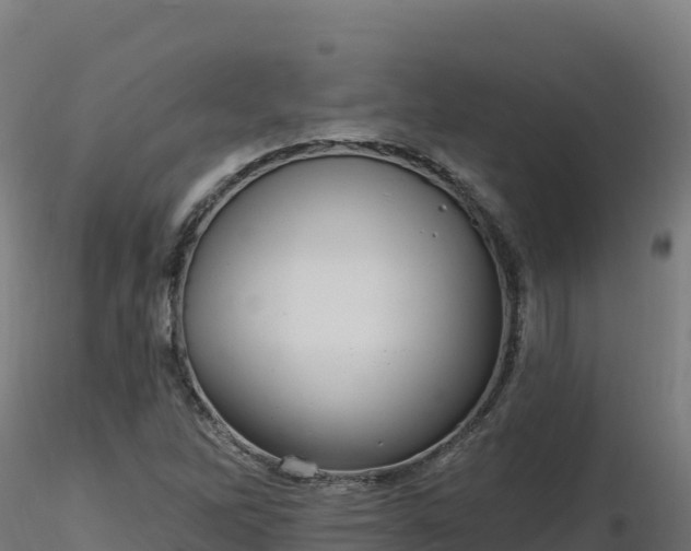 X0000116891262200912291256