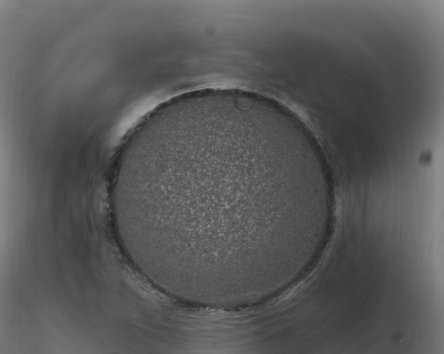 X0000116891263200912291256