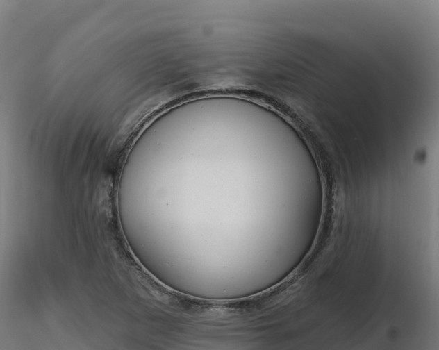 X0000116891265200912291256