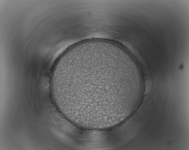 X0000116891266200912291256