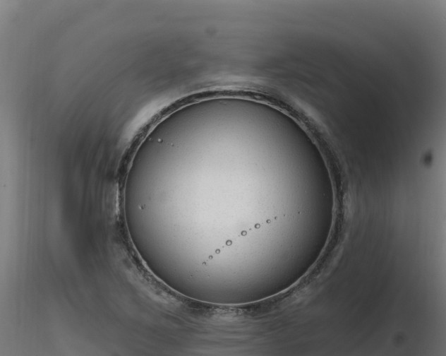 X0000116891267200912291256