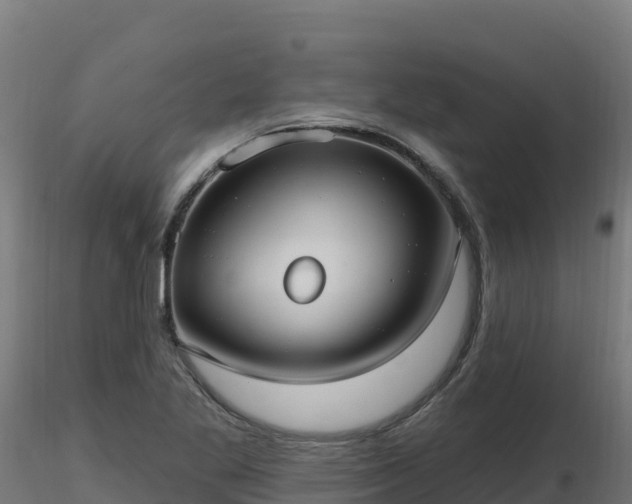 X0000116891269200912291255