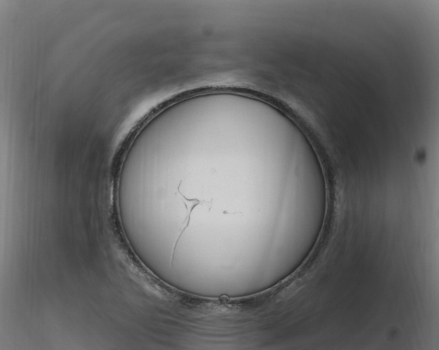 X0000116891270200912291255