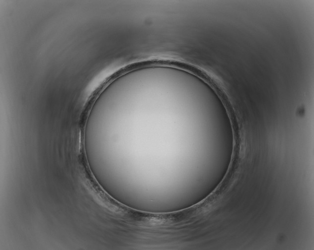X0000116891271200912291255