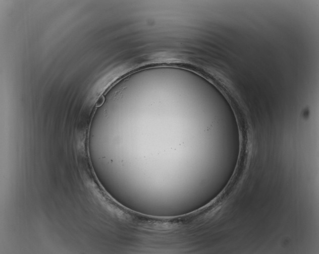 X0000116891273200912291255