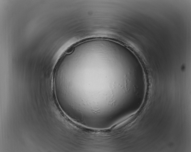 X0000116891275200912291255