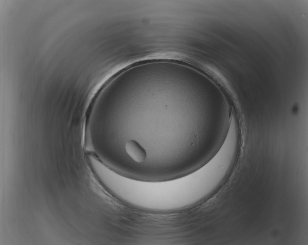 X0000116891276200912291255