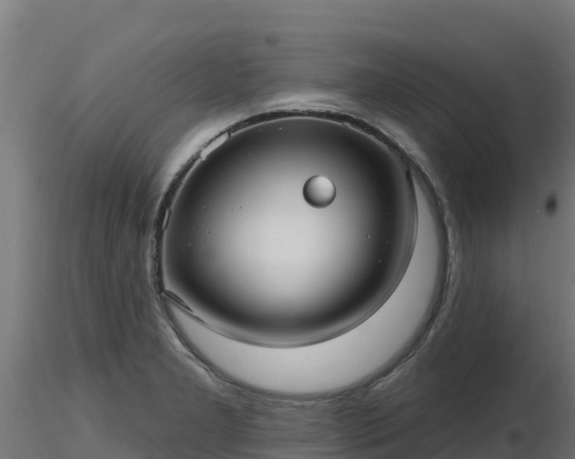 X0000116891277200912291255