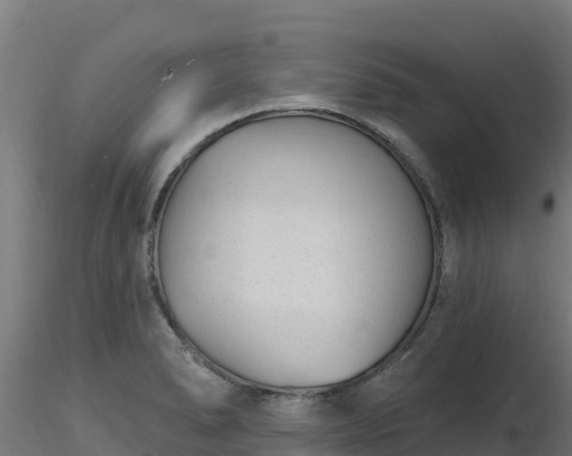 X0000116891278200912291255