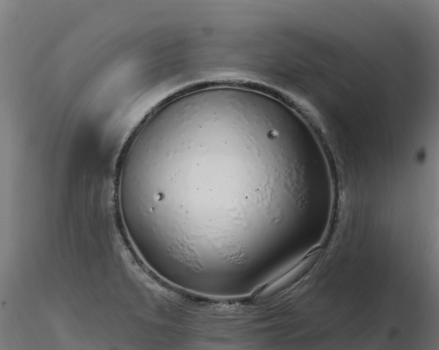 X0000116891279200912291255