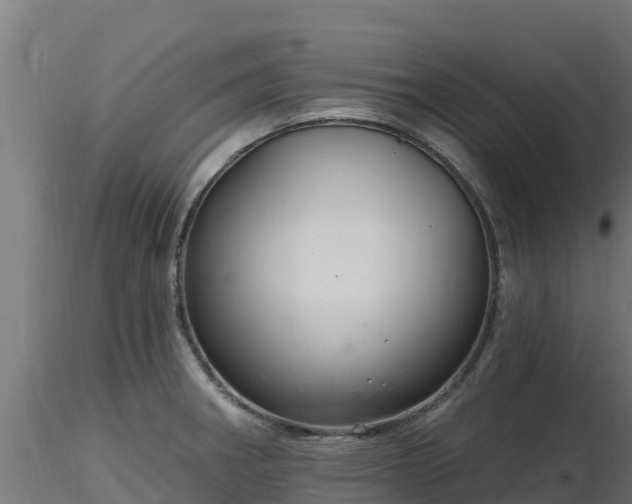 X0000116891282200912291255