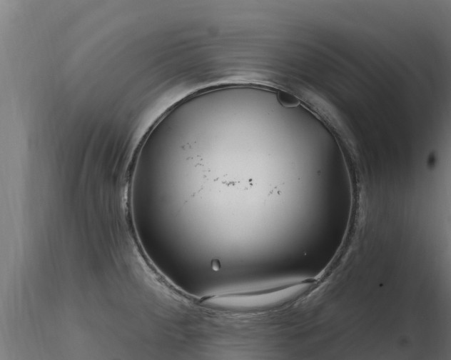 X0000116891284200912291255