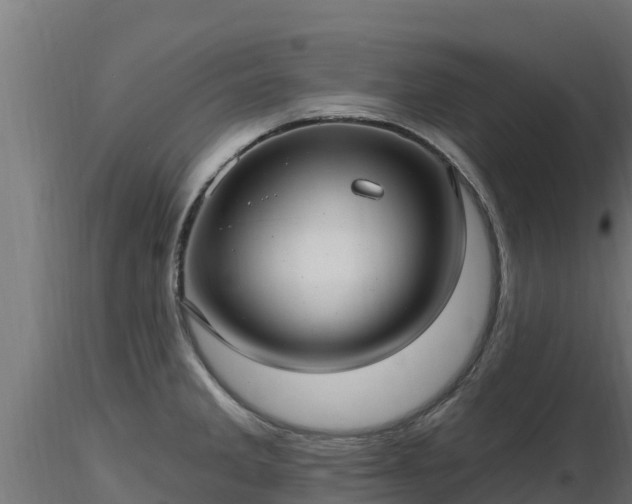 X0000116891285200912291255