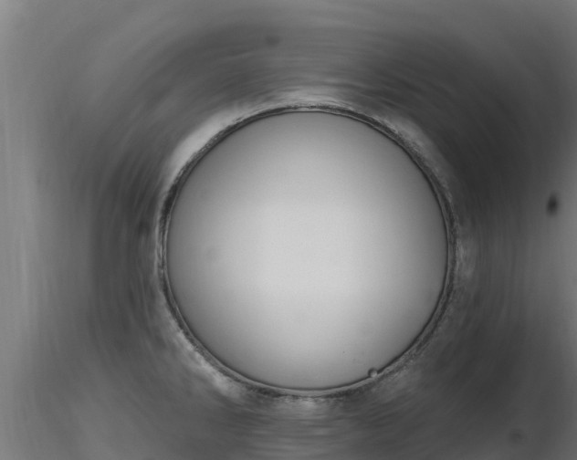 X0000116891286200912291255