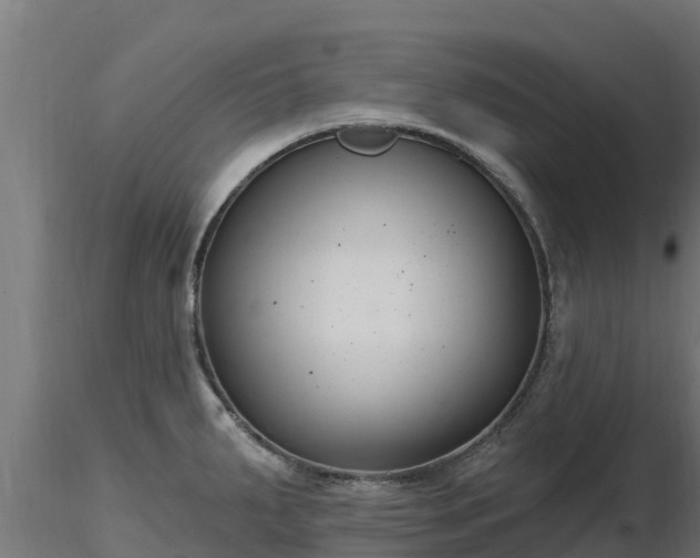 X0000116891287200912291255