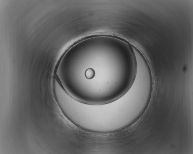 X0000116891288200912291255