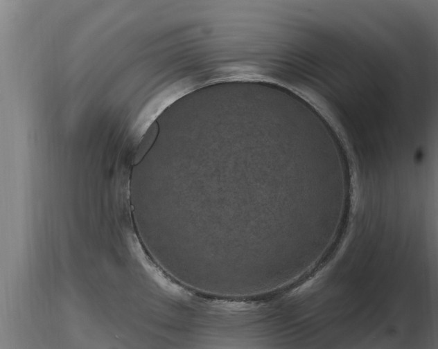 X0000116891289200912291255