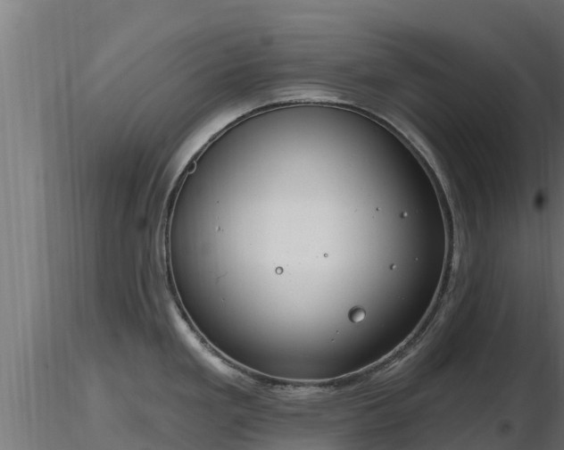 X0000116891293200912291255