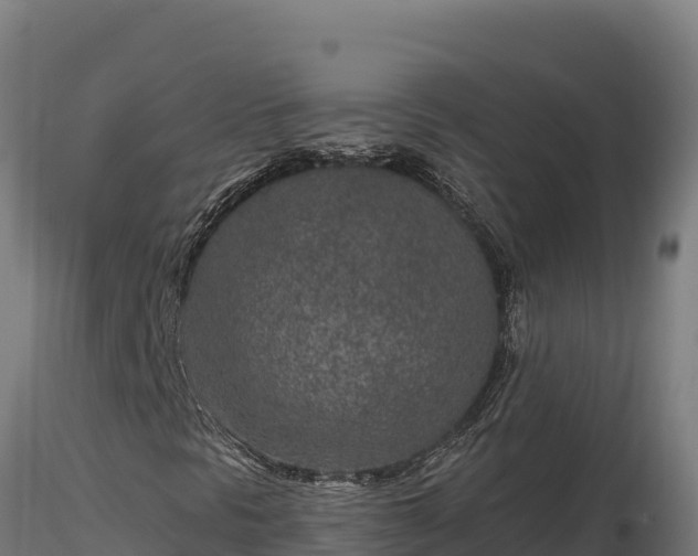 X0000116891297200912291254