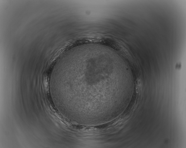 X0000116891298200912291254