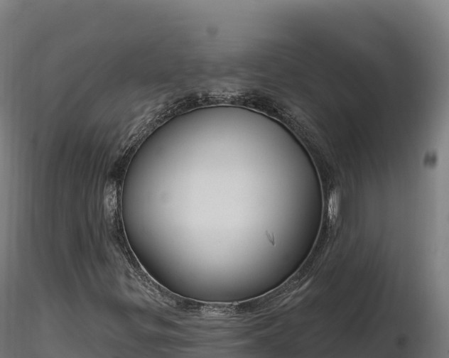 X0000116891299200912291255