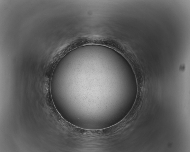 X0000116891301200912291255