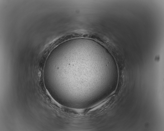 X0000116891302200912291255