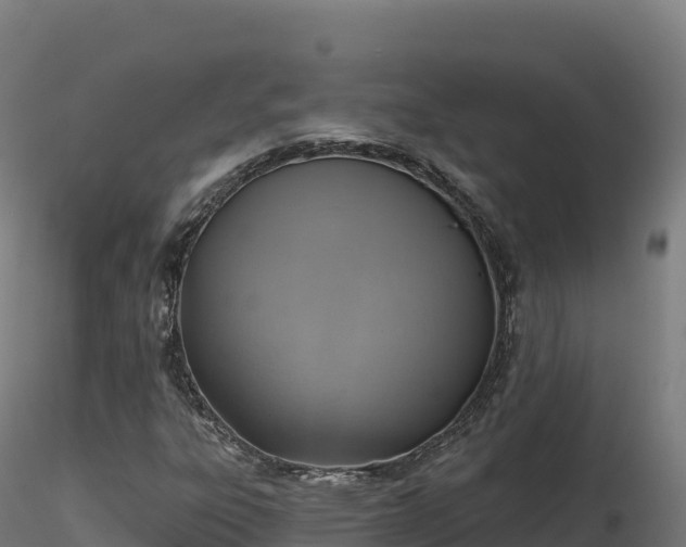 X0000116891303200912291255