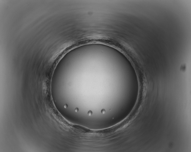 X0000116891305200912291255