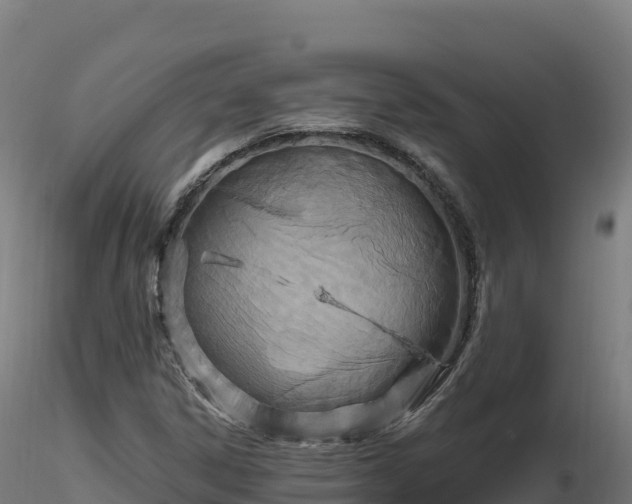 X0000116891306200912291255