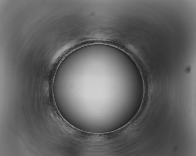 X0000116891307200912291255