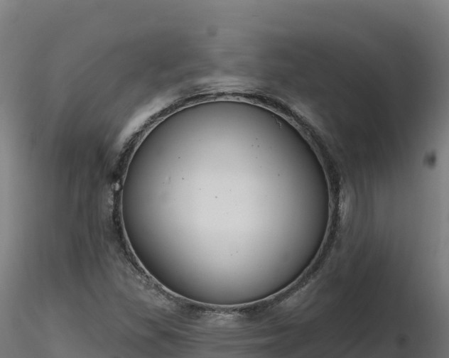 X0000116891309200912291255