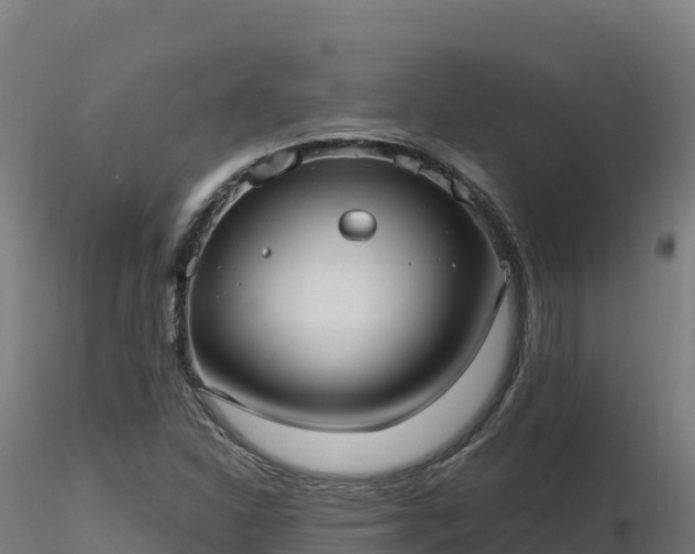 X0000116891310200912291255