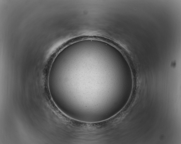 X0000116891311200912291255