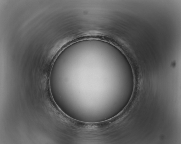 X0000116891313200912291255