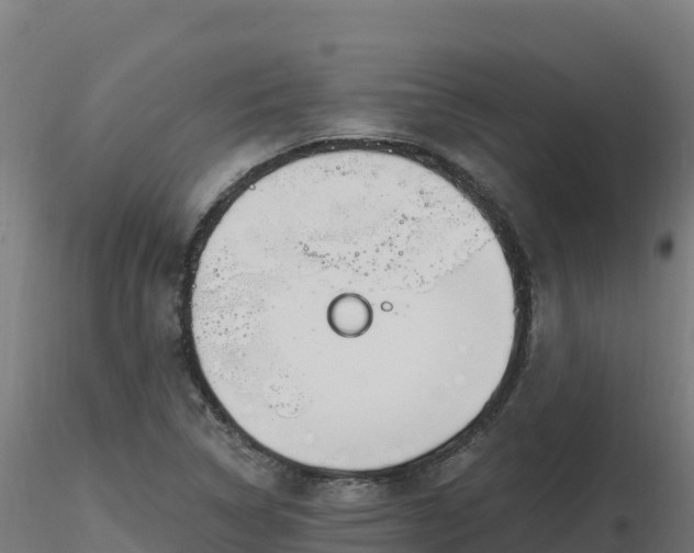 X0000116891314200912291255