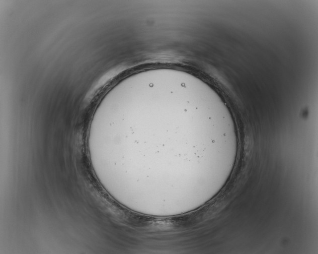 X0000116891315200912291255
