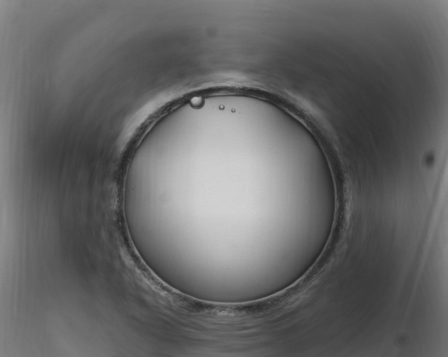 X0000116891318200912291255