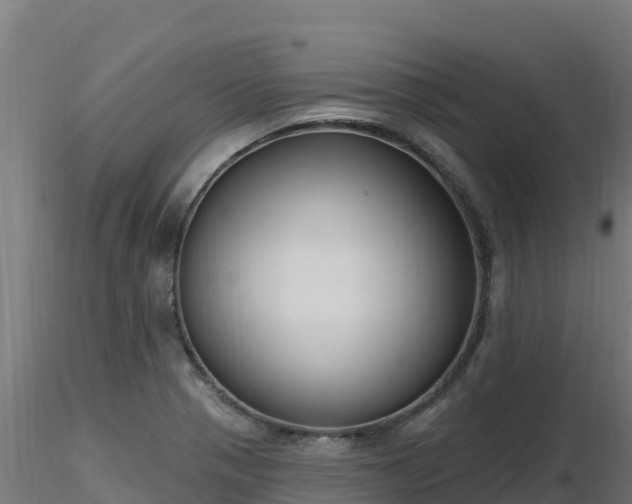 X0000116891321200912291255