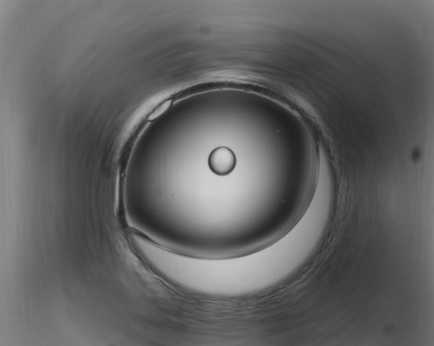 X0000116891323200912291255