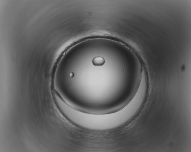 X0000116891326200912291255