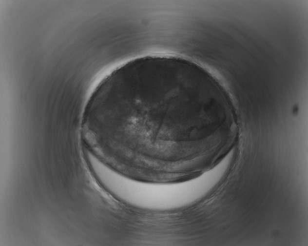 X0000116891327200912291255