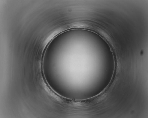 X0000116891330200912291255